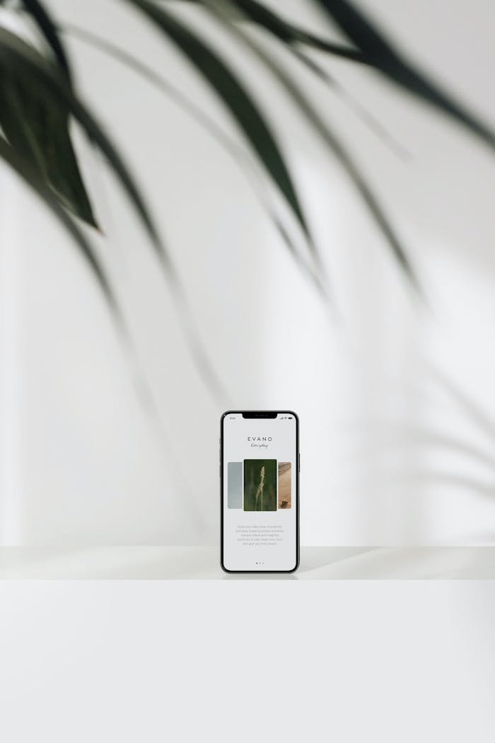 Modern smartphone showcasing a website with minimalist design and plant shadows.